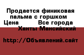 Продается финиковая пальма с горшком › Цена ­ 600 - Все города  »    . Ханты-Мансийский